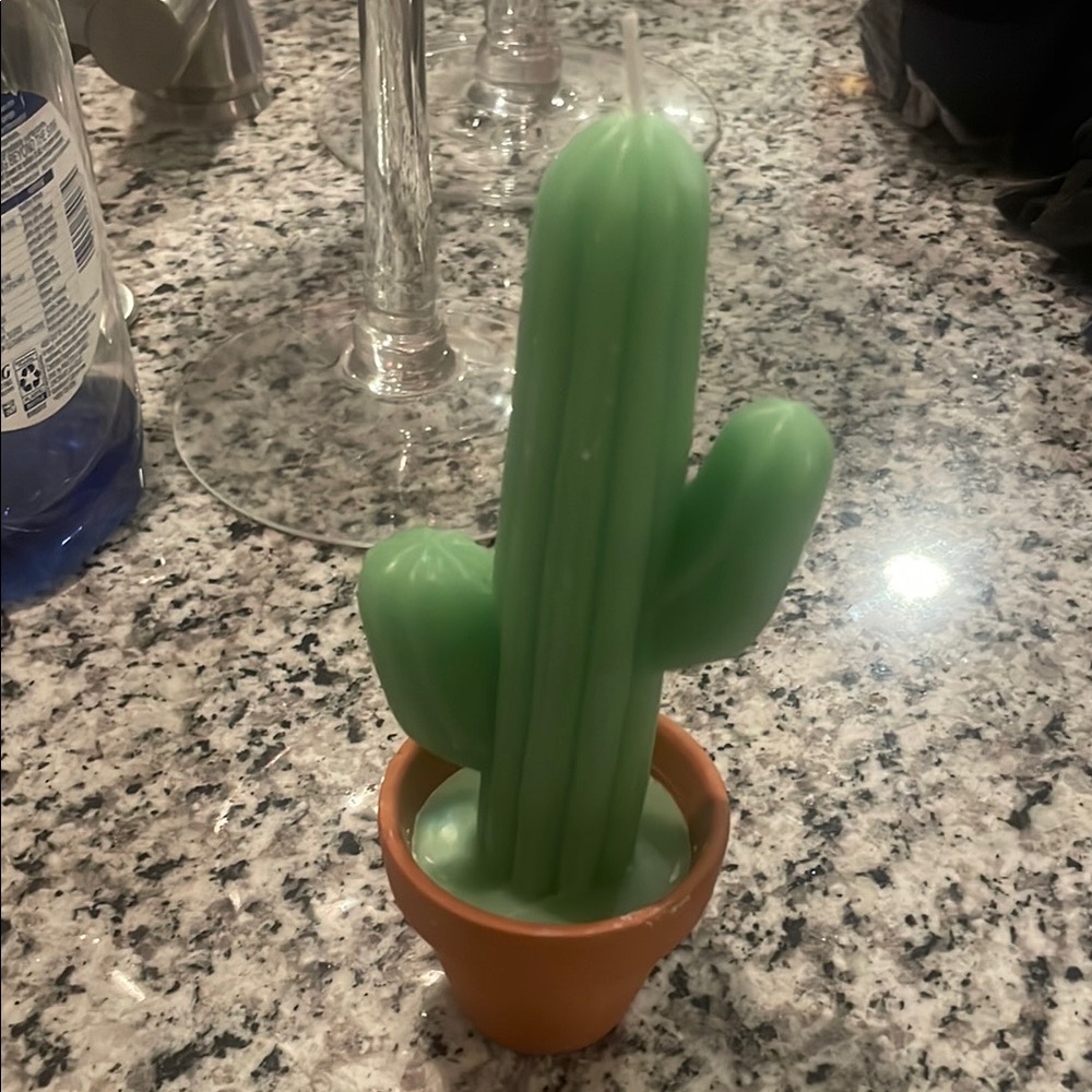Winners Choice Green & Pink Cactus Candles in Terracotta Pot